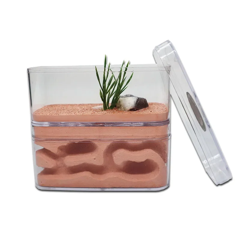 Granja de hormigas de yeso con taller, nido de hormigas altamente hidratante, casa de hormiga de Castillo de Anthil para mascotas con área de alimentación, caja de insectos, 12x6x10cm