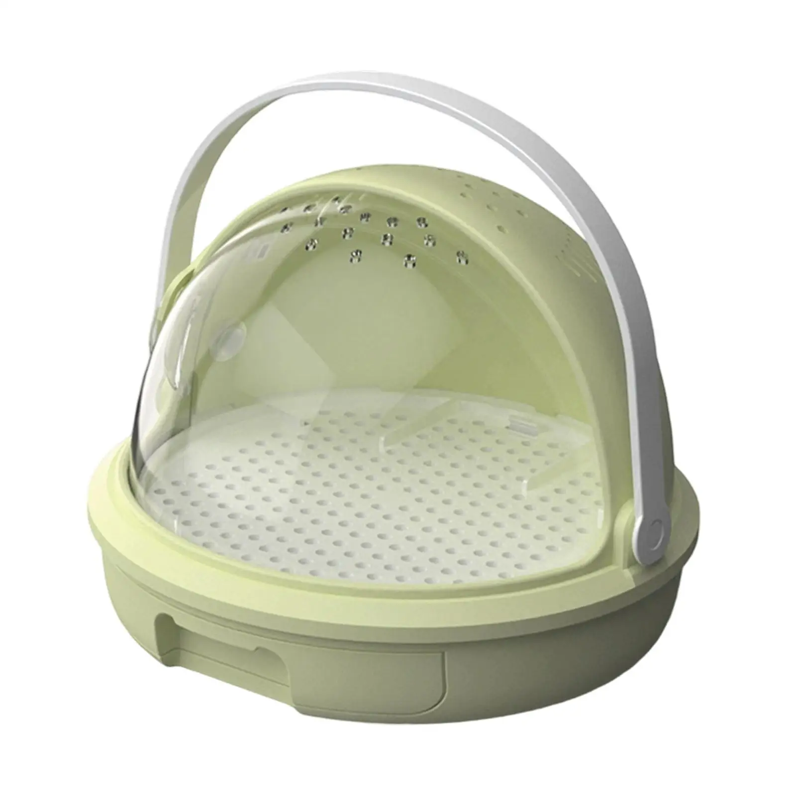 Reptile Feeding Box Spacious Gifts Ventilated Multi Purpose Display Box Tarantula Enclosure Terrarium Cage for Invertebrates