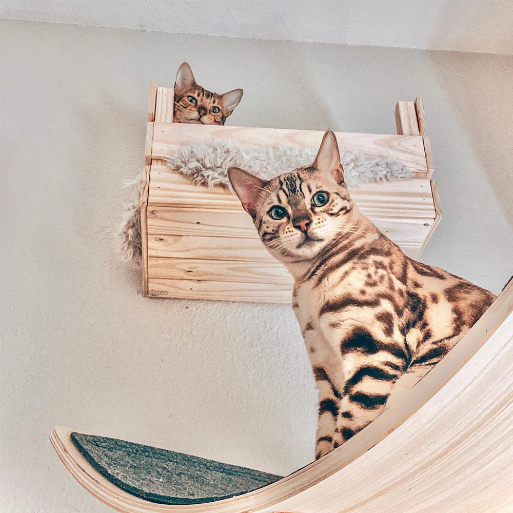 Cesta de madera para gatos montada en la pared, estante para gatos, cama de percha, hamaca para dormir, poste rascador para escalar, muebles de pared modernos para gatos - imagen 2