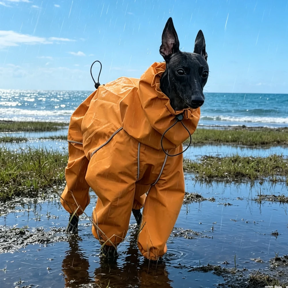 Chubasquero impermeable transpirable para galgo italiano y whippet - imagen 2