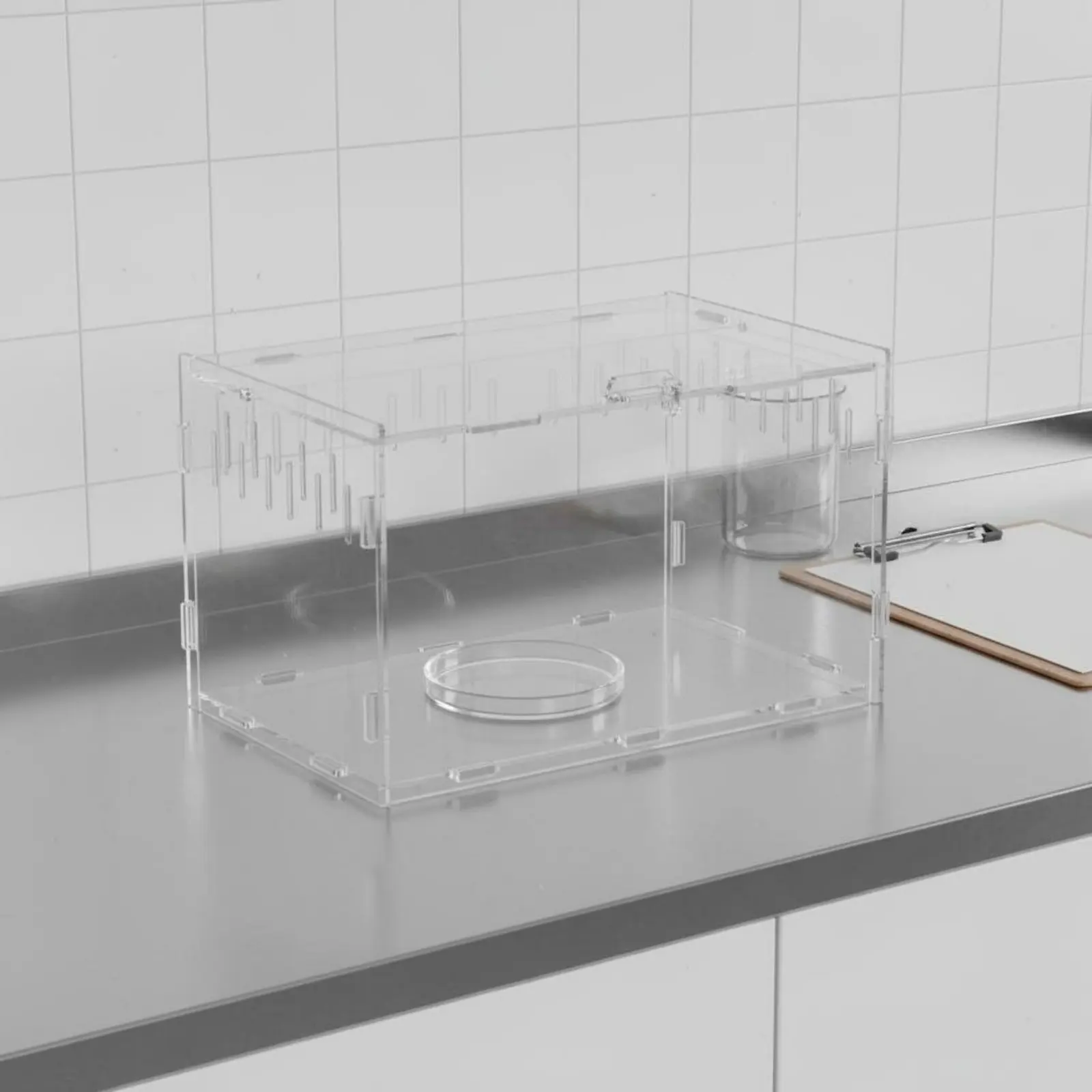 Terrario panorámico 360° para anfibios – Acrílico transparente de alta claridad - imagen 4
