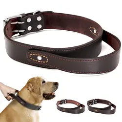 Collar de cuero genuino para perros medianos y grandes con mango