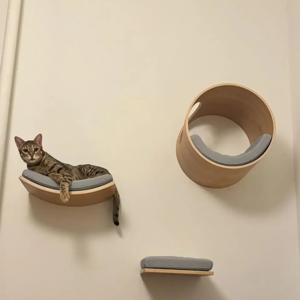Muebles de pared para gatos, estante de escalada, escalones montados en la pared, escalera con cuerda de Sisal, garras de molienda para rascar, juguete para la mayoría de gatos gatitos - imagen 4