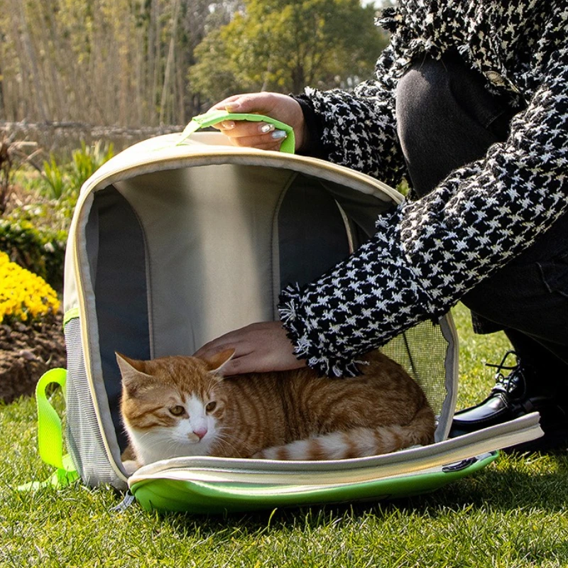 Nueva mochila portátil para mascotas con Radio, bolsa transparente para salir de gatos, mochila cómoda y transpirable para gatos, productos para mascotas - imagen 2