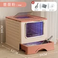 Rose powde UV model