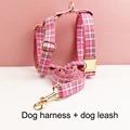 Harness leash