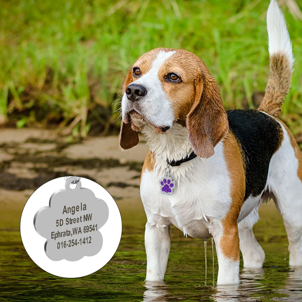 Etiquetas de dirección personalizadas para perros y gatos, accesorios grabados para cachorros y gatos, etiqueta de número de nombre de acero inoxidable grabada para perros y gatos - imagen 5