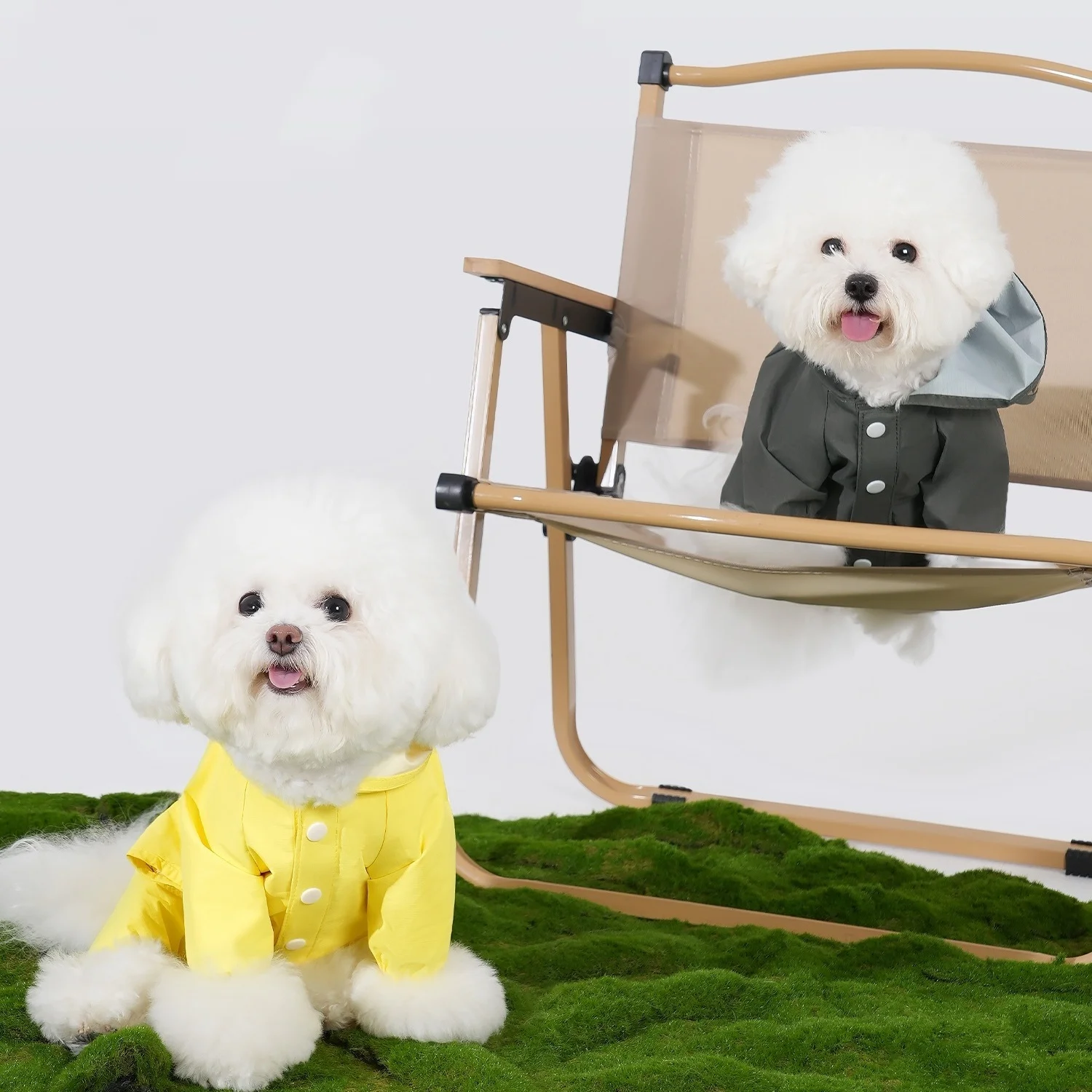 Chubasquero de verano para perros con capucha reflectante impermeable a prueba de viento de cuerpo completo para perros pequeños, Poncho de lluvia para mascotas, ropa para perros - imagen 2