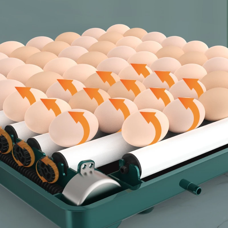 Incubadora automática para huevos de gallina y codorniz – 50 huevos - imagen 3