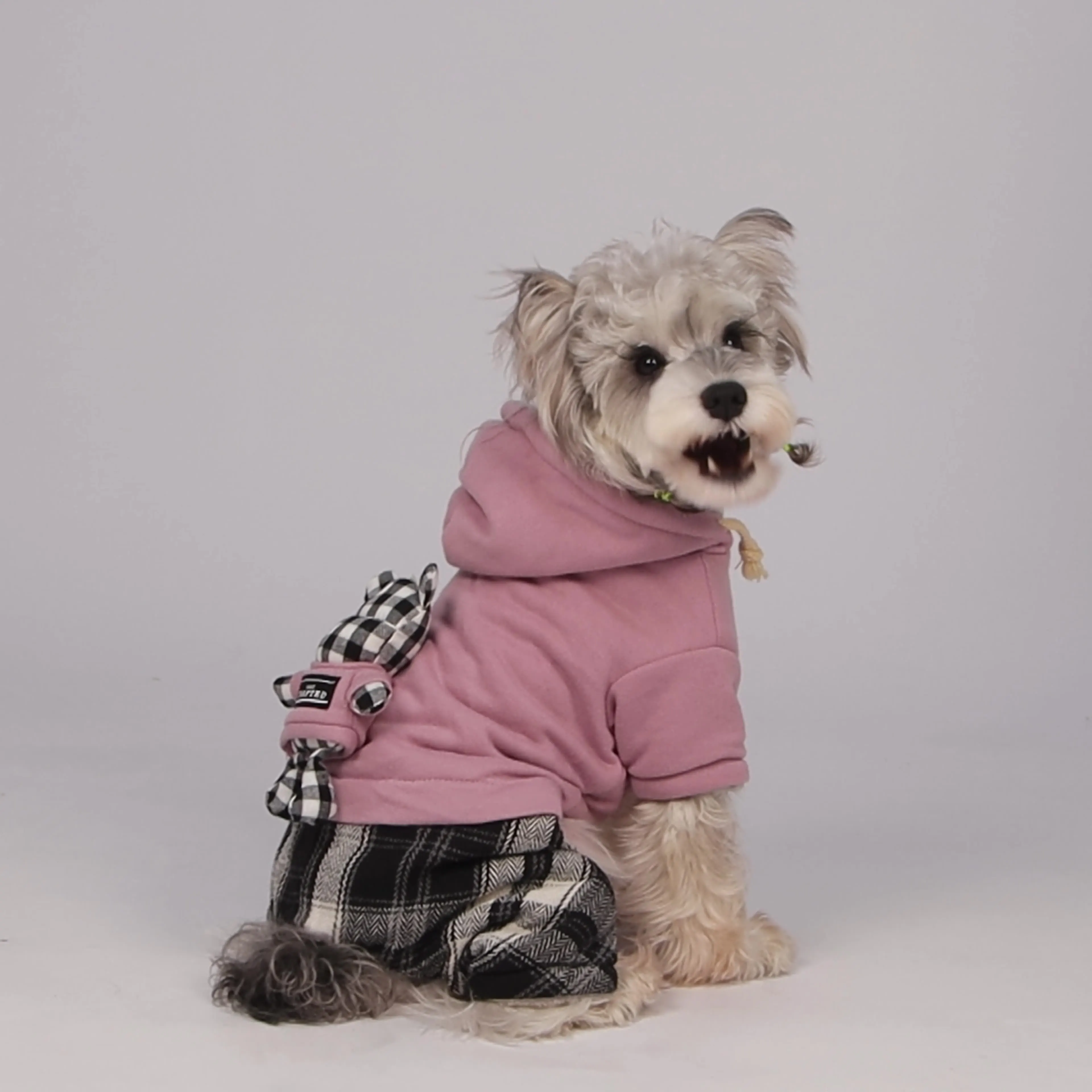 Conjunto de Sudadera con capucha para perro, disfraz de oso de peluche con forro de franela, diseño de 4 patas para razas pequeñas y medianas, traje de Navidad para cachorros, mono para mascotas - imagen 3