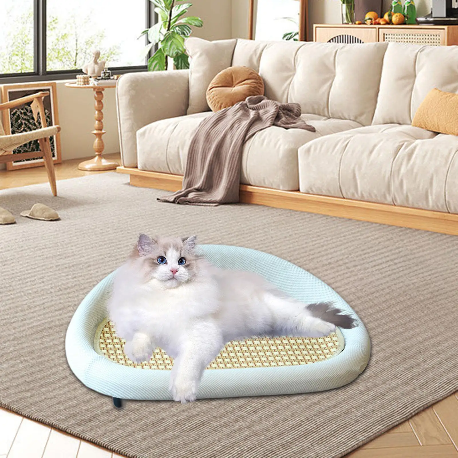 Cat Scratching Board Bed Couch with Raised Edge Comfortable Anti Slip Feet