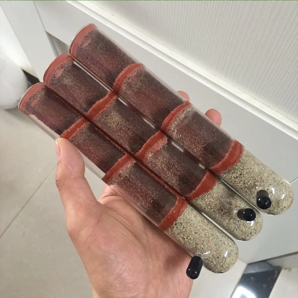 Granja de hormigas de bambú con tubo de ensayo – Casa para criar hormigas - imagen 5