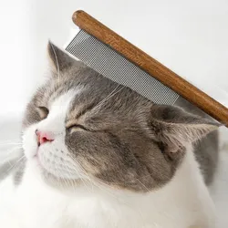 Peine quitapelos para gatos mango madera acero suave eficaz