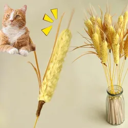 Palo teaser para gatos con plumas y campana de paja
