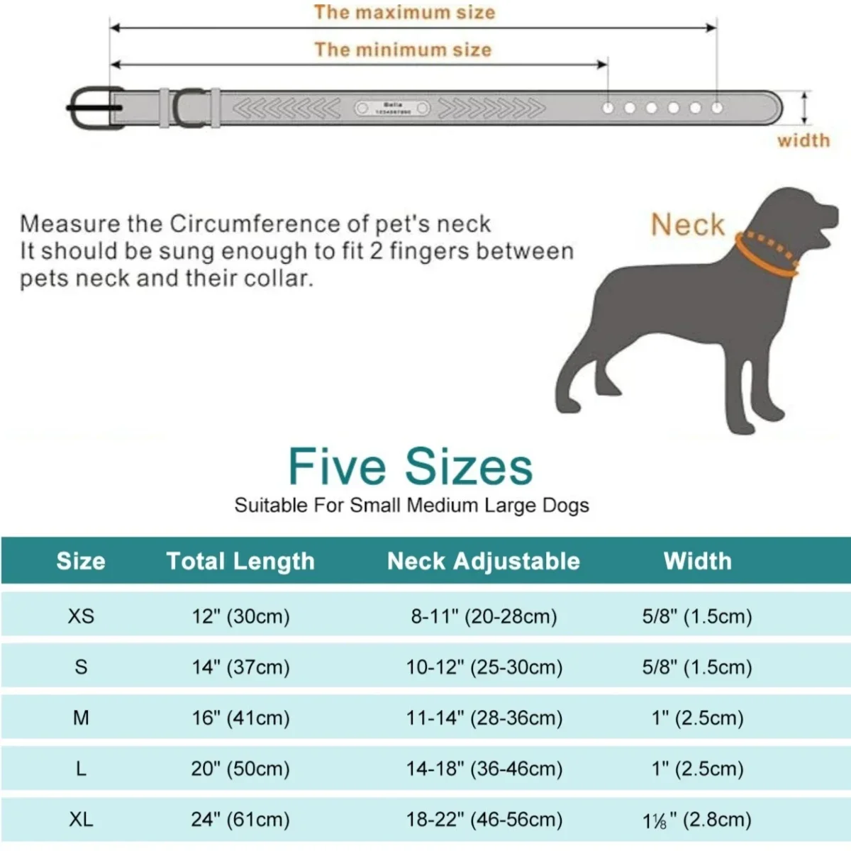 Collar de perro personalizado, Collar con etiqueta de perro grabado, Collar con placa con nombre para cachorro y gato, ajustable para perros pequeños, medianos y grandes, Pug - imagen 3