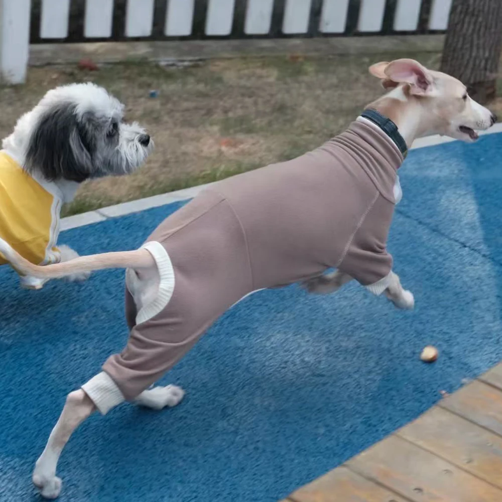 Abrigo fleece azul para Whippet y Bedlington Terrier – Cálido para invierno - imagen 5