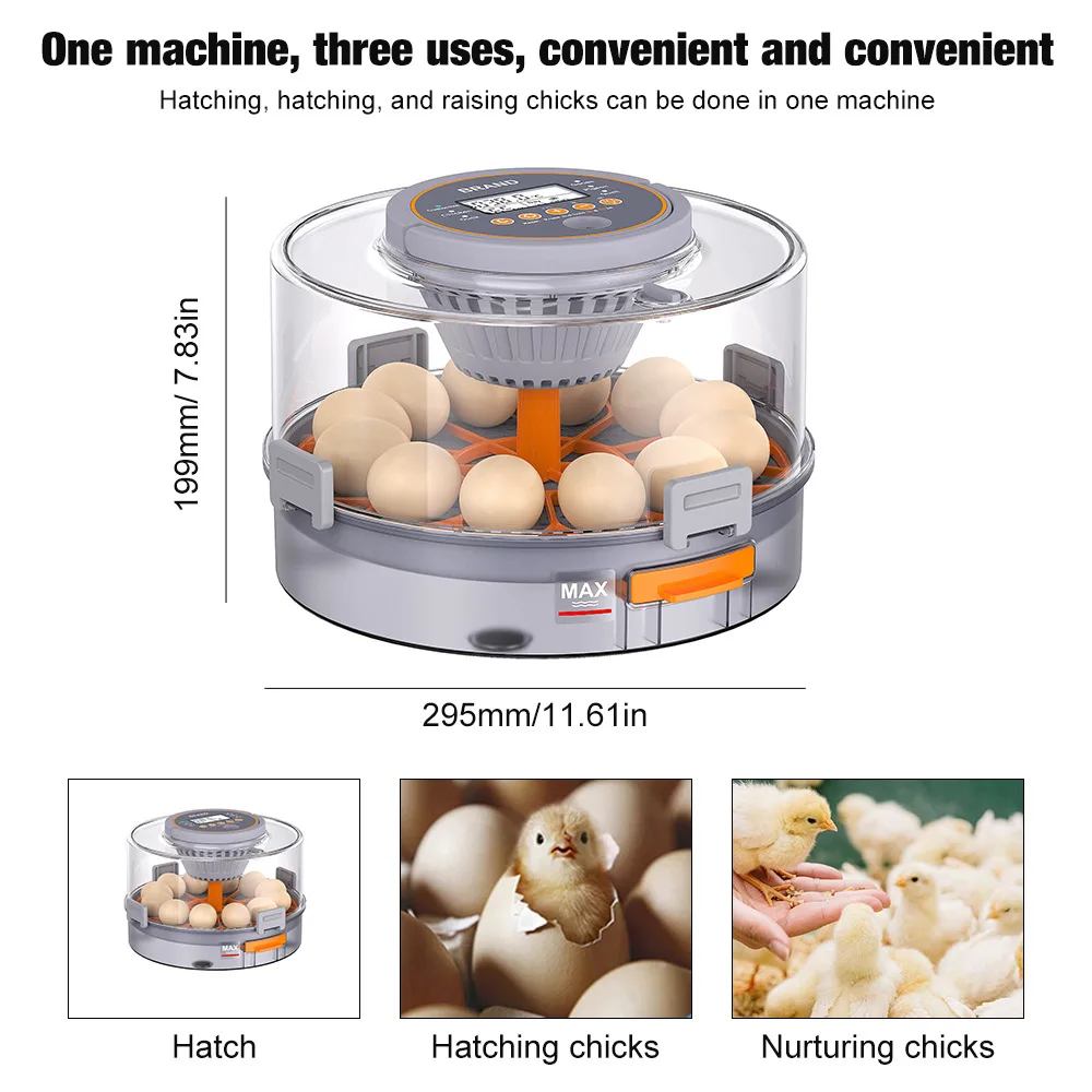 Incubadora inteligente de huevos de temperatura constante, incubadora automática de pollos, patos y gansos pequeños, productos para mascotas, suministro de animales de granja - imagen 4