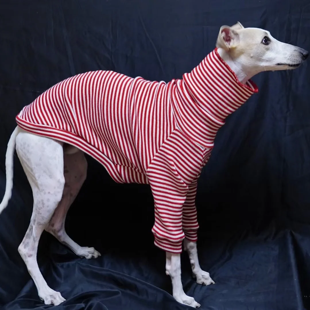 Sudadera clásica de rayas rojas con cuello alto para galgo italiano, abrigo suave y cálido de manga larga para primavera para perros Whippet en otoño