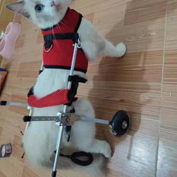 Silla de ruedas para perros y gatos con parálisis – soporte trasero
