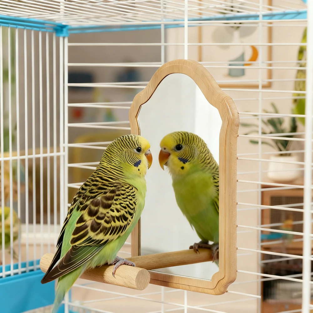 Juguete con espejo para loro, agapornis y cacatúa – Colgante para jaula - imagen 4