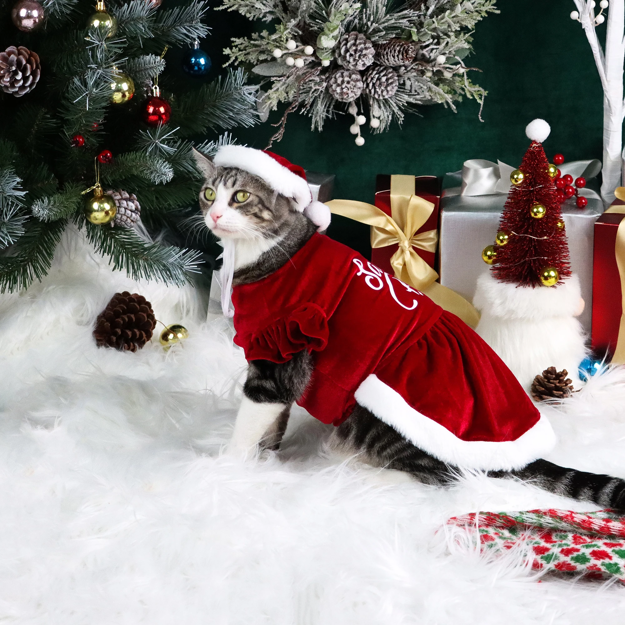 Conjunto de 2 vestidos de Navidad para perro, vestido para cachorro con letras de Papá Noel para bebé, ropa de felpa para cachorro, fiesta de Navidad para mascotas, ropa cálida para gato - imagen 3