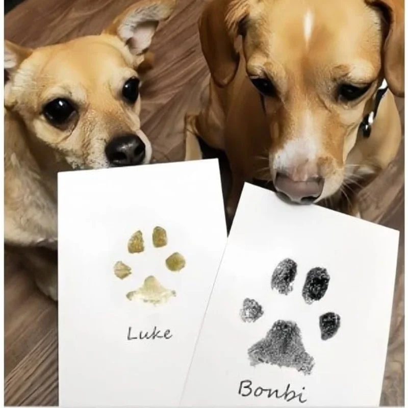 Kit de huellas y manos DIY para bebé recién nacido, almohadillas de tinta, marco de fotos, recuerdo de mascota, limpieza segura, almohadilla de huellas dactilares para gato y perro