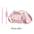 Pink Within 4KG