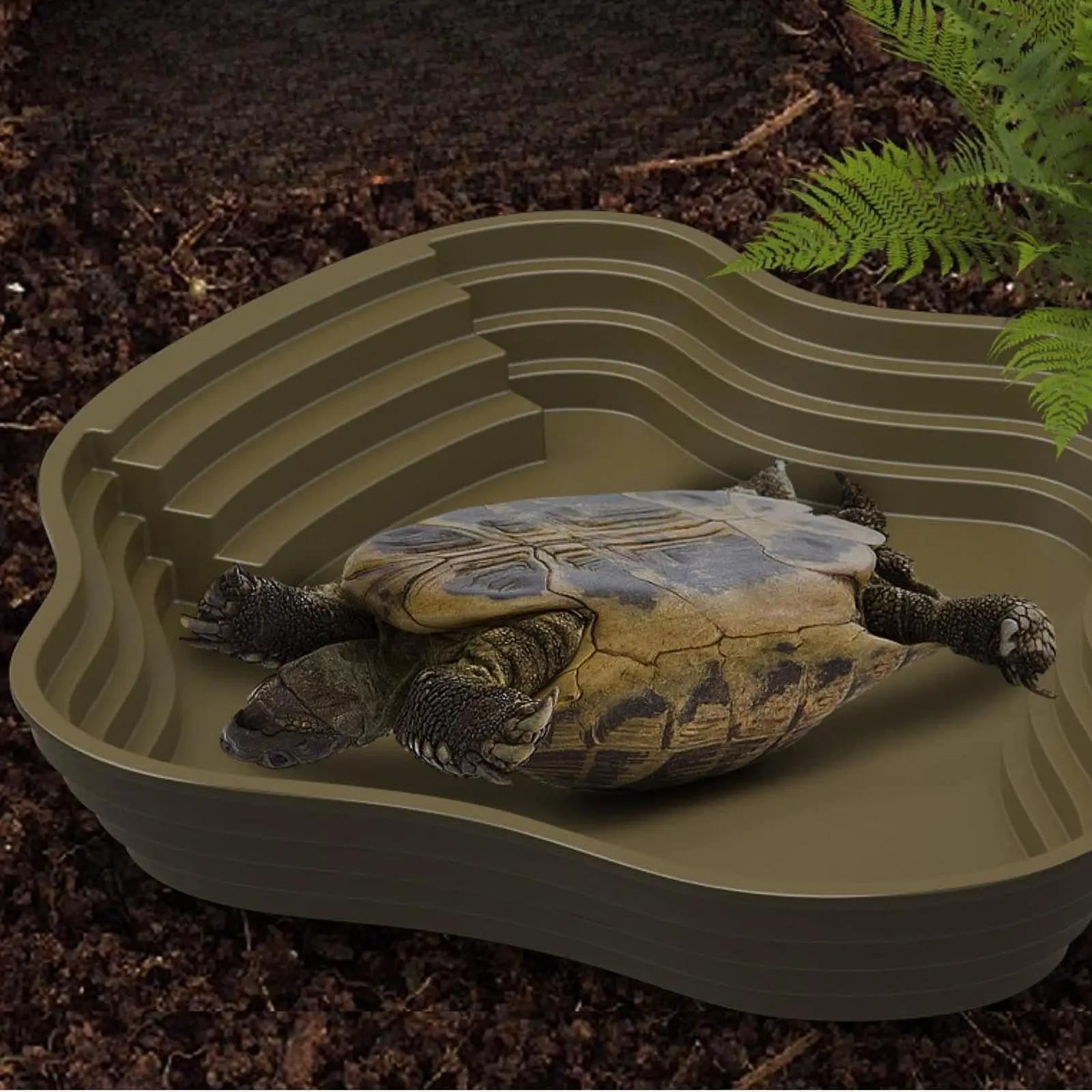 Reptile Bathing Pool Reptile Feeding Dish with Ramp Tortoise Feeder Lizards Habitat for Hamster Tortoise Bearded Snake