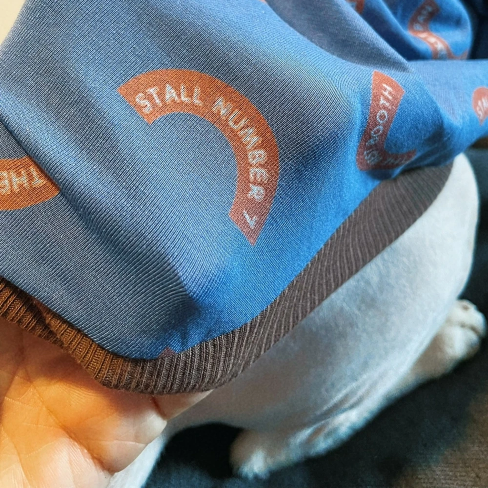 Sudadera de algodón de primavera de ropa de gato Abrigo de dibujos animados Elestic para Sphynx Camiseta de letras azules de moda de gato para gatitos en verano - imagen 4