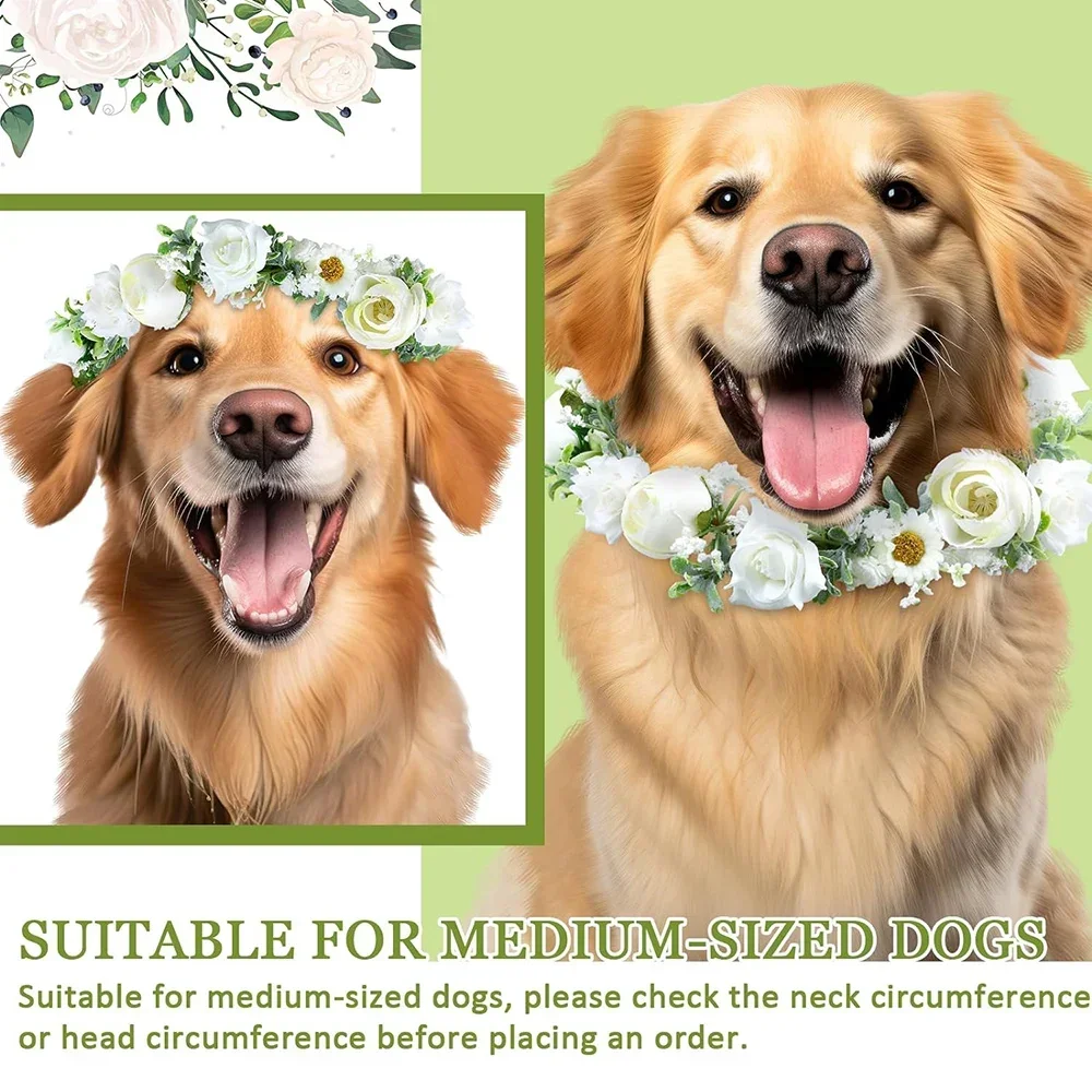 Juego de Collar y correa de flores para perros, correa de perro con cuentas de perlas de 120 cm, collares para atuendo de boda, corona, accesorio para fotografía de mascotas - imagen 5