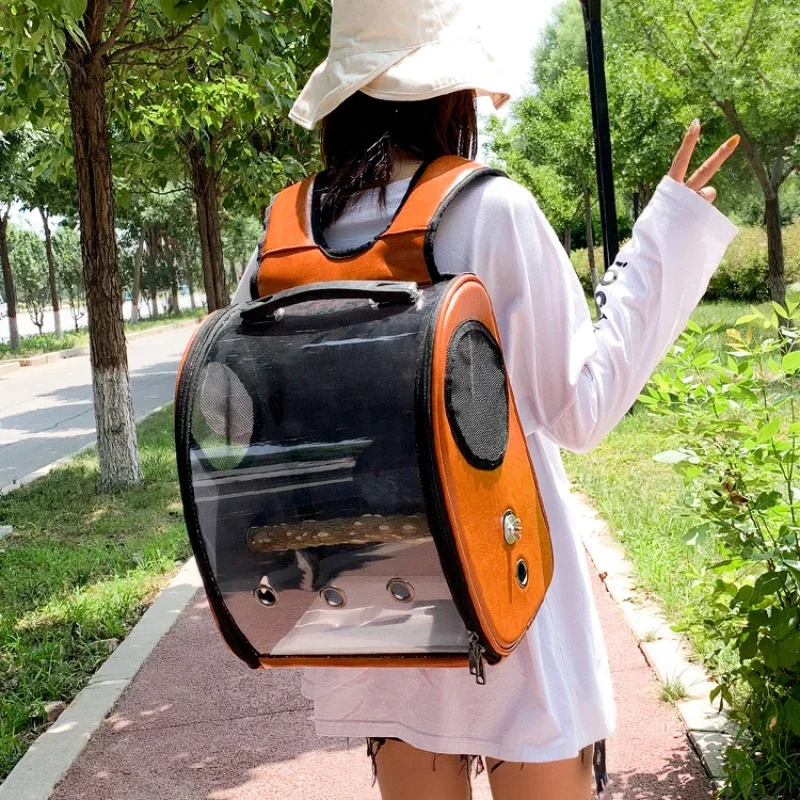 Mochila para loros de viaje al aire libre con percha, mochila portátil para loros, jaula, bolsa transportadora transparente para loros, bolso, suministros para pájaros - imagen 2