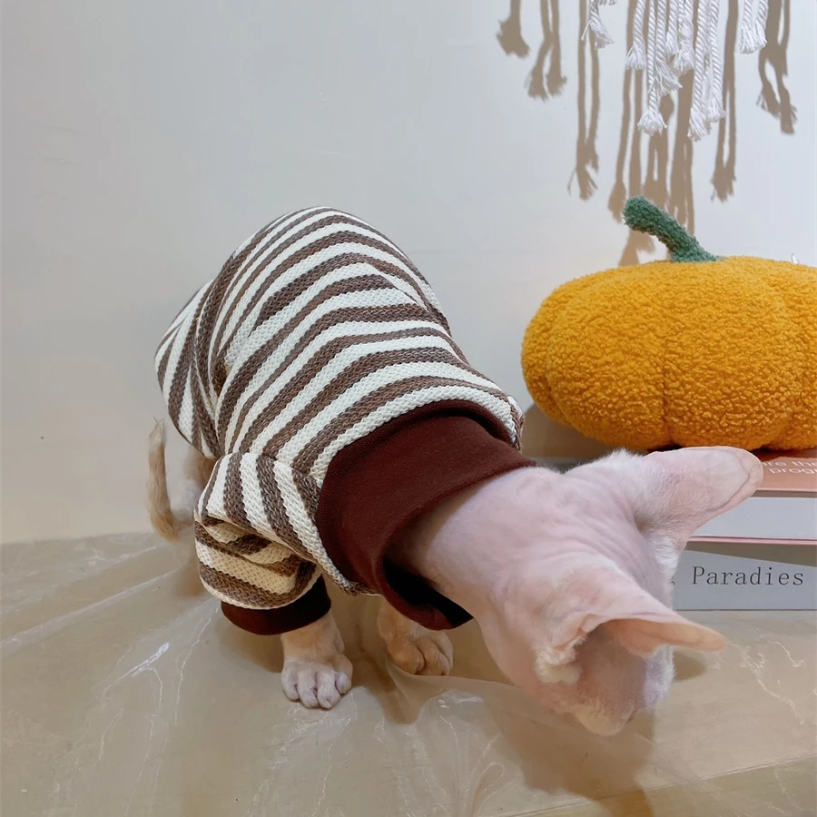 Sudadera de rayas de Cat Clothing para Sphynx Abrigo marrón suave de gato para gatitos Camisa de manga larga elestic para Devon Rex en primavera - imagen 4