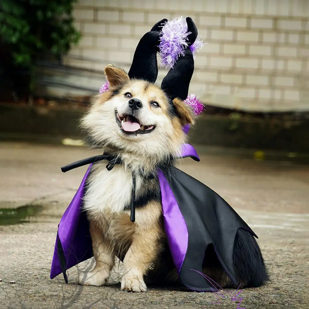 Disfraz de bruja de Halloween para mascotas, capa de mago para perros, conjunto de sombrero con cuernos de diablo, traje de Cosplay de bruja para mascotas, conjunto de disfraz de Halloween para gatos y cachorros - imagen 3