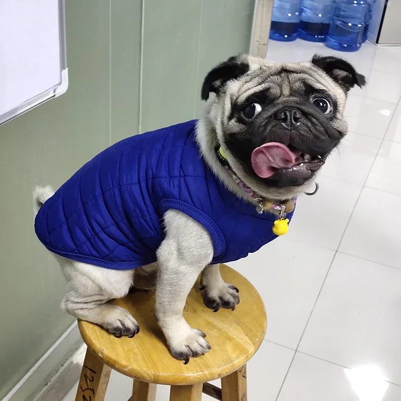 Ropa cálida de invierno para perros pequeños, abrigo para cachorros y gatos, forro polar suave, chaqueta para mascotas, chaleco para Chihuahua, trajes de Pug, disfraz de Yorkie - imagen 2