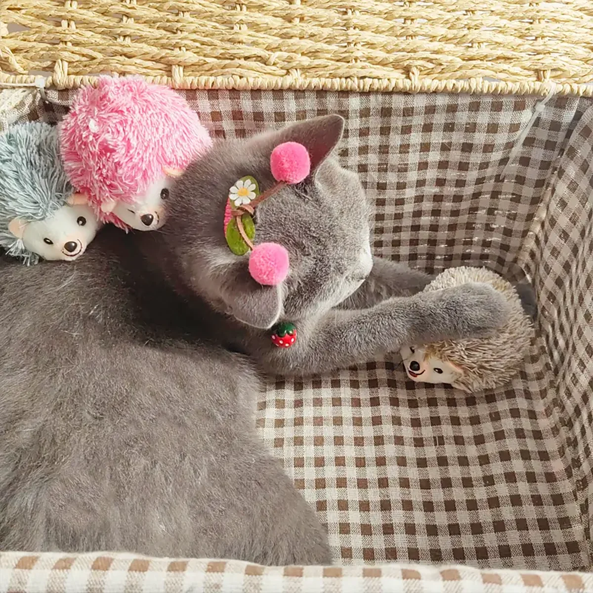 1 lindo juguete de peluche para mascotas de erizo, juguete de peluche duradero para mascotas, adecuado para juegos interactivos diarios de recogida para gatitos - imagen 3