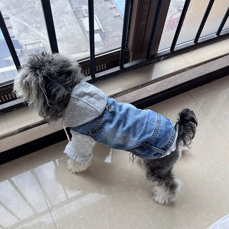 Chaleco vaquero para perros pequeños y medianos con capucha - imagen 2