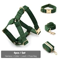 Harness Collar Set