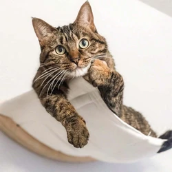 Hamaca de pared para gatos: Trepar, Descansar y Jugar