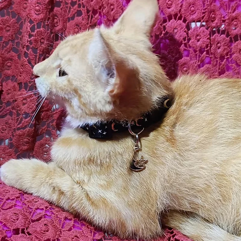 Collar ajustable para gatos con estampado luminoso, bonito Collar para mascotas para gatos, perros pequeños, Collar de lujo para gatitos, Collar para cachorros, accesorios para gatos - imagen 3