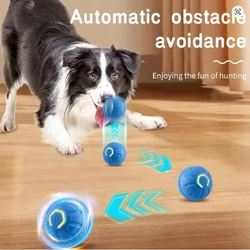 Pelota interactiva recargable USB automática para perros y gatos