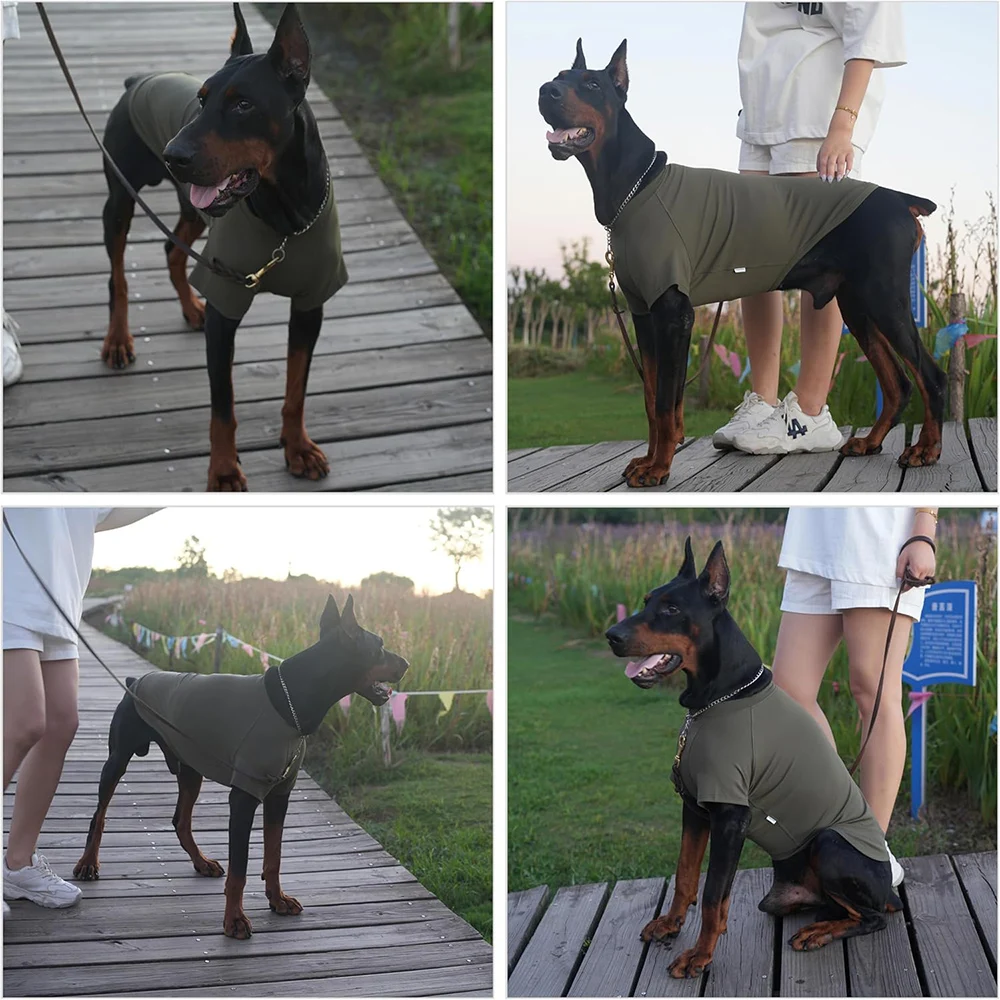 Suéter de cuello alto para gatos Sphynx, camisa sin pelo, suéteres para gatos con mangas, jersey de gatito cálido y suave, pijamas de invierno de forro polar - imagen 4