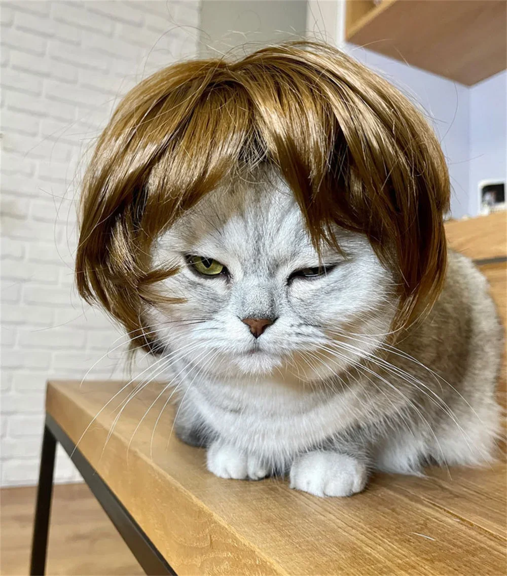 Interesantes accesorios para el cabello para cachorros y gatos, peluca para mascotas, perros pequeños, gatitos, sombrero de Cosplay, traje para fiesta de Halloween, katzen zubehör - imagen 3