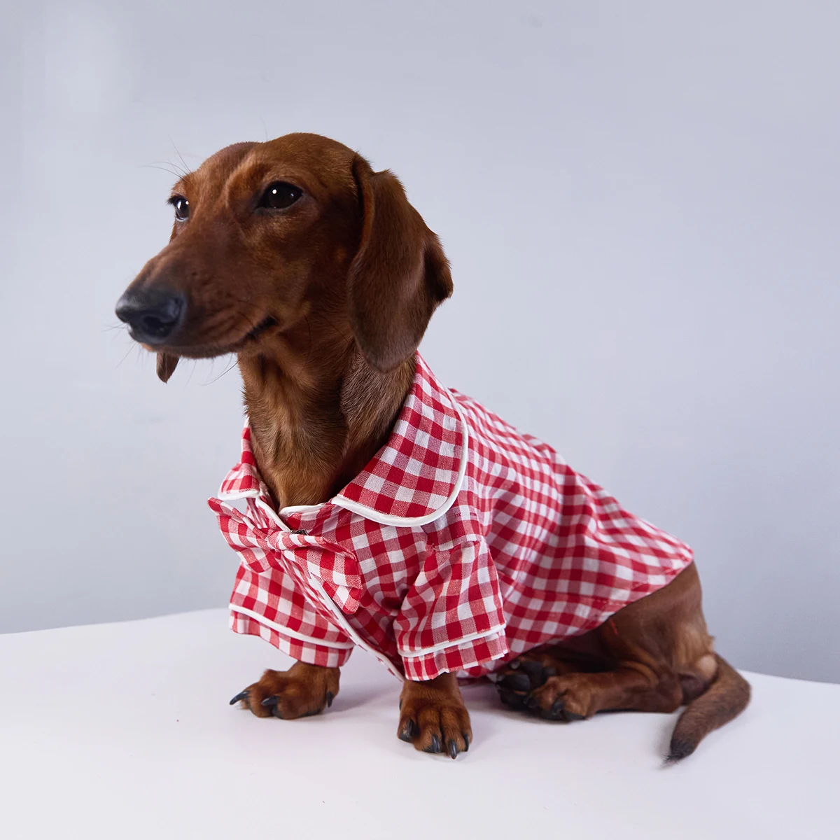 Pijama de cuadros azules para perro teckel – Abrigo invernal suave - imagen 5