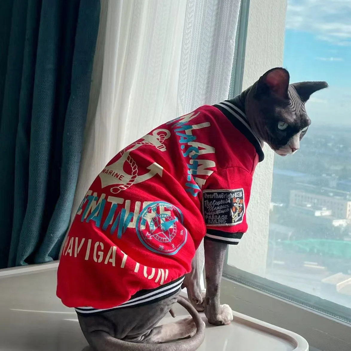 Abrigo rojo de manga larga a la moda para gatos en primavera y otoño, Camiseta de algodón suave con dibujos animados, disfraz de Cosplay de Seafarero para gato esfinge - imagen 5