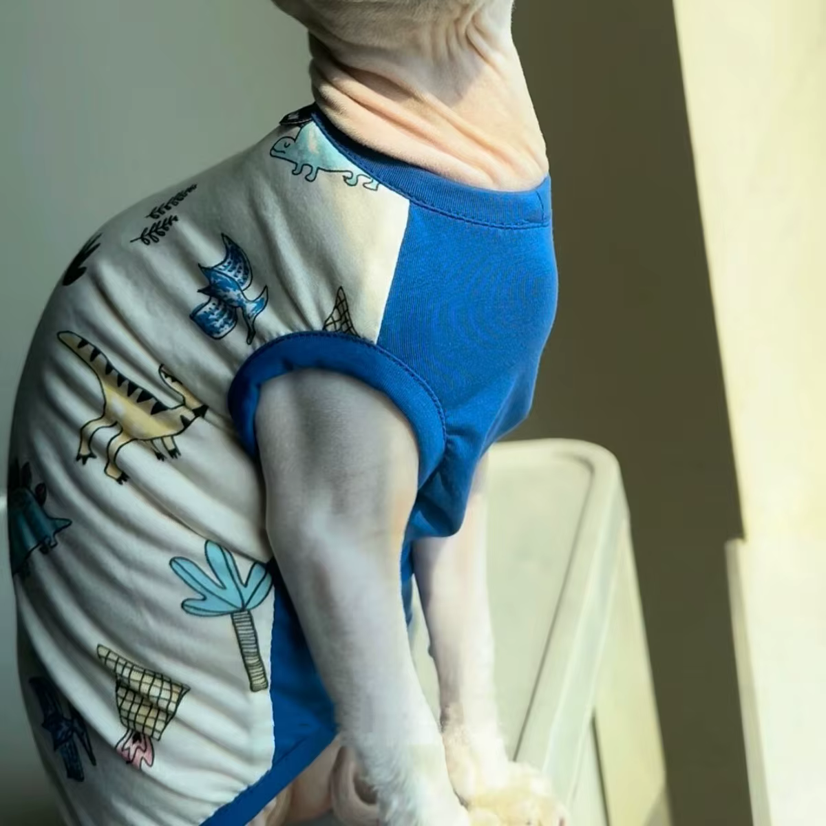 Camiseta de manga corta para gatos Sphynx y Devon Rex – Verano - imagen 4