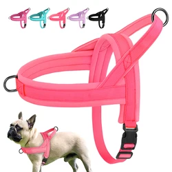 Arnés antitirones acolchado para perros pequeños – Ajustable y comforteble