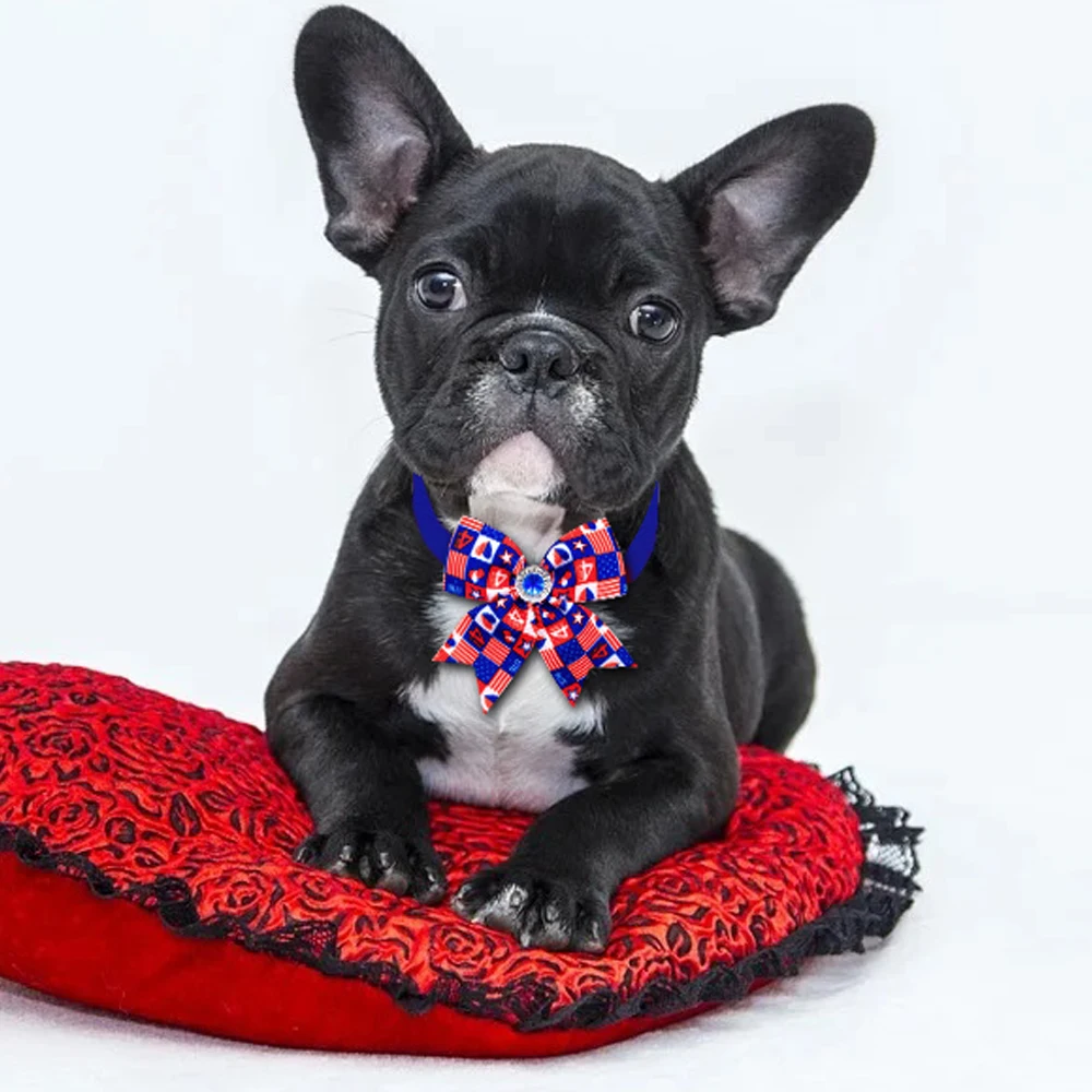 Detalle de lazo para perro pequeño