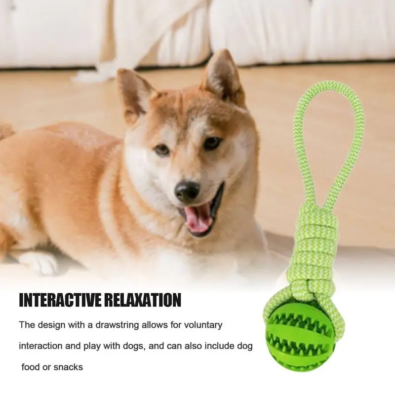 Tug Of War-pelota de Juguete para perro, cuerda interactiva para entrenamiento de perros, ejercicio, masticar, juguete de entrenamiento - imagen 5