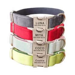 Collar invierno terciopelo para perro – Suave y personalizado