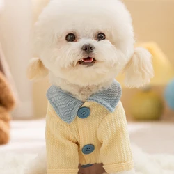Ropa de verano para perros y gatos – Jersey, polo y camiseta
